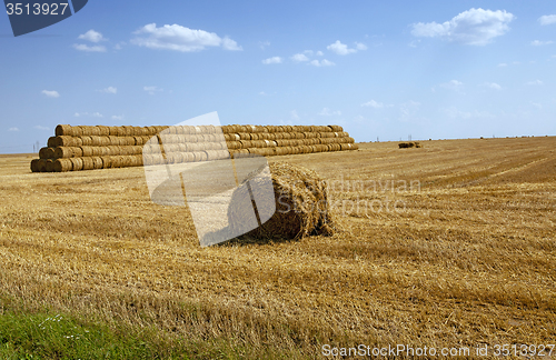 Image of straw stack  
