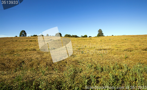 Image of agricultural field  