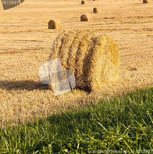 Image of straw stack  