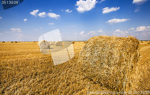 Image of straw stack  