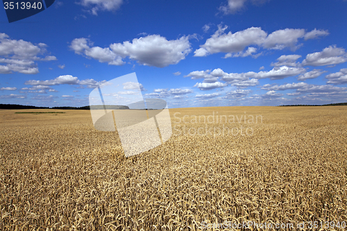 Image of agricultural field 