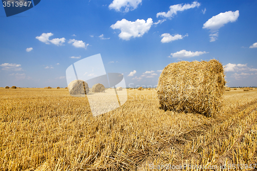 Image of straw stack 