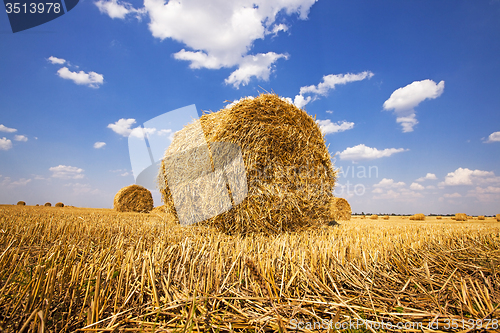 Image of straw stack  