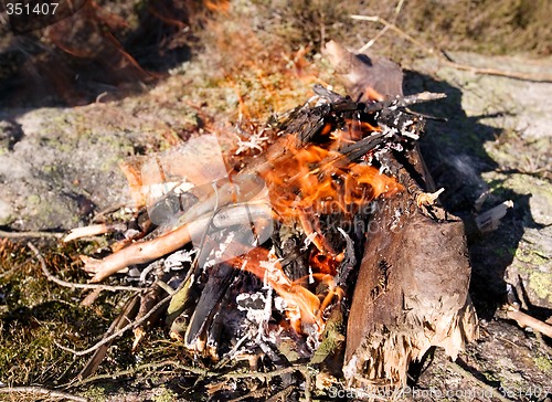 Image of Daytime Camp Fire