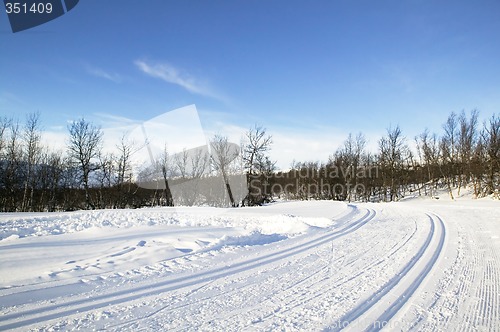 Image of Cross Country Ski Trail