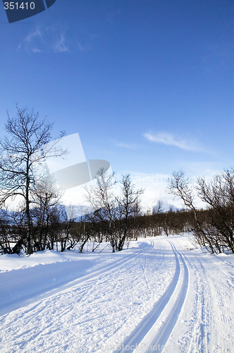 Image of Cross Country Ski Trail