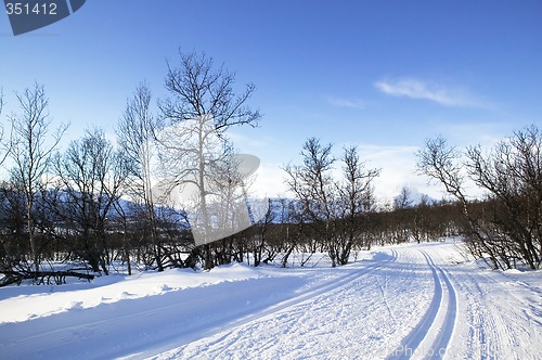 Image of Cross Country Ski Trail