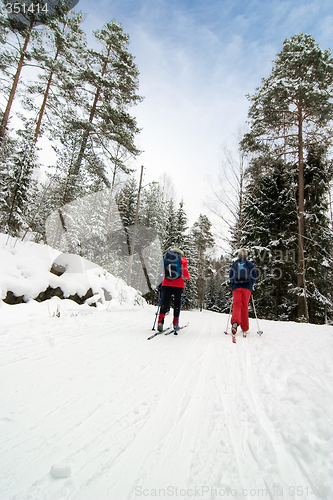 Image of Cross Country Skiing