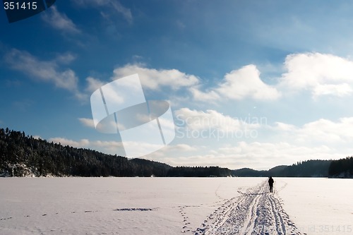 Image of Cross Country Skiing