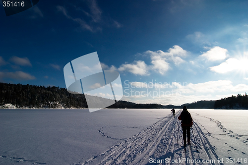 Image of Cross Country Skiing