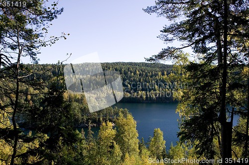 Image of Forest Lake