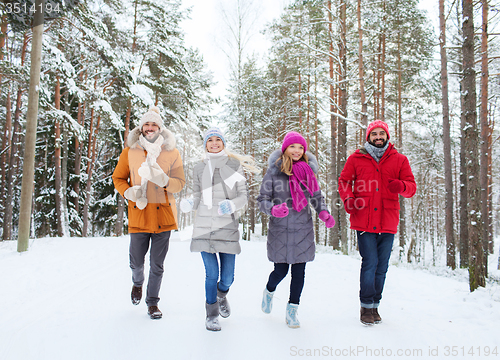 Image of group of smiling men and women in winter forest