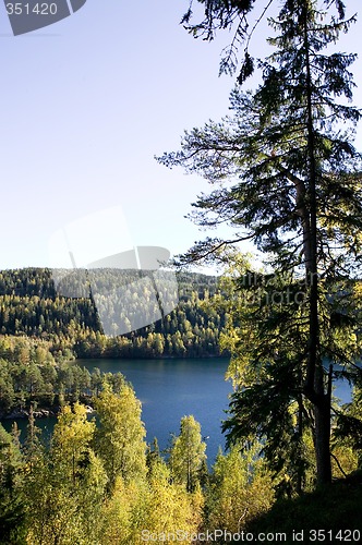 Image of Forest Lake