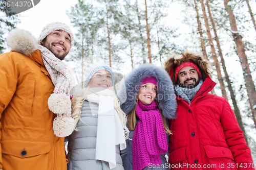 Image of group of smiling men and women in winter forest