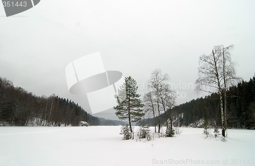 Image of Norwegian Winter Lake Landscape