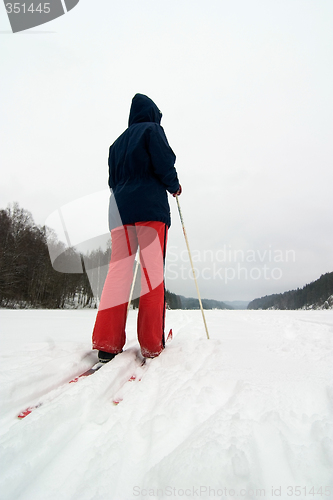 Image of Cross Country Skier