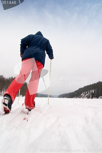 Image of Cross Country Skier