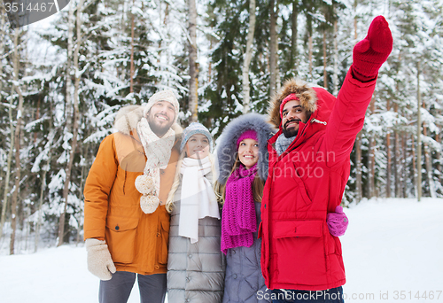 Image of group of smiling men and women in winter forest