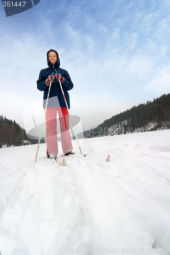 Image of Cross Country Skier