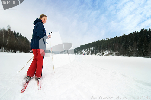 Image of Cross Country Skier