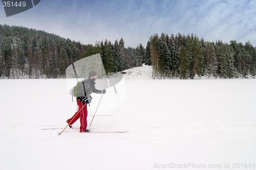 Image of Novice Cross Country Skier