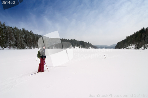 Image of Cross Country Skiing