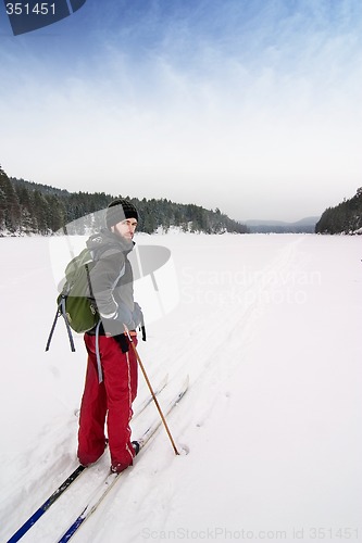 Image of Cross Country Skiing