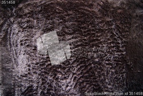 Image of Black Fun Fur