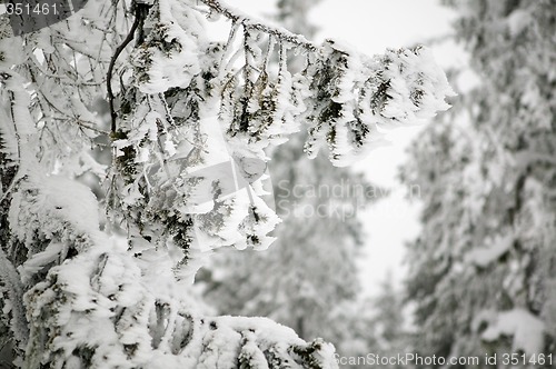 Image of Wind Blown Snow Detail