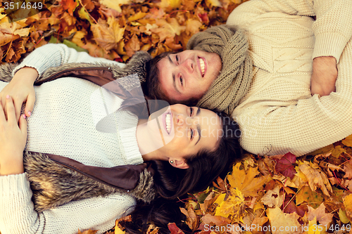 Image of close up of smiling couple lying in autumn park