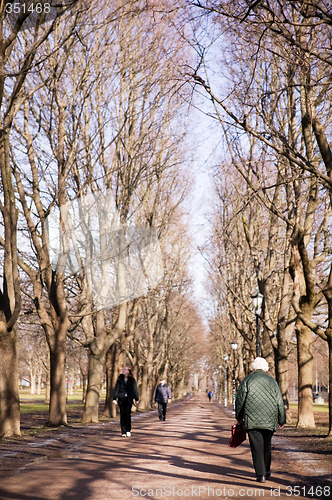 Image of Old Woman on Walk in Park