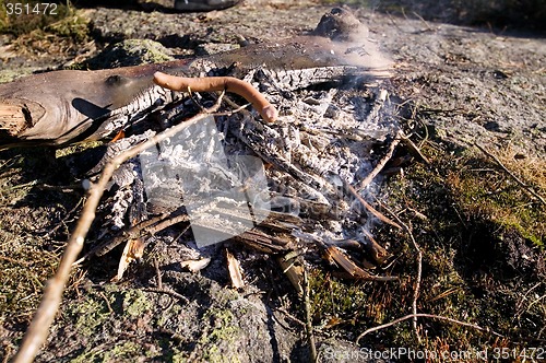 Image of Wiener Roast