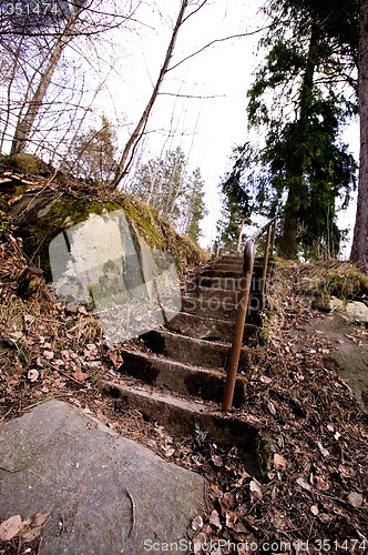 Image of Forest Path