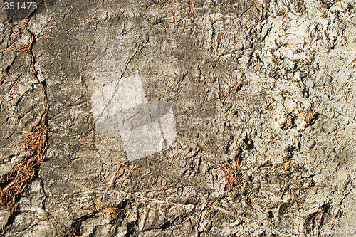 Image of Rock Texture