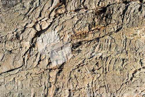 Image of Rock Texture