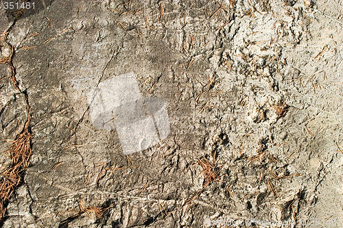Image of Rock Texture