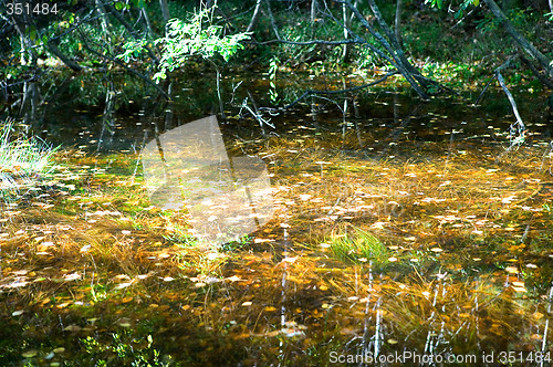 Image of Fall Reflections