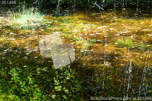 Image of Fall Reflections