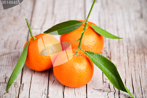 Image of fresh tangerines with leaves 