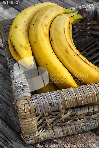 Image of Ripe bananas