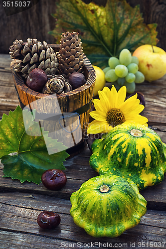 Image of Autumn still life with squash