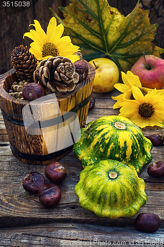 Image of Autumn still life with squash