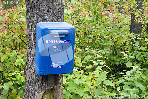 Image of Mailbox on forest tree