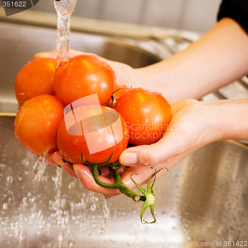 Image of Washing Tomatoes