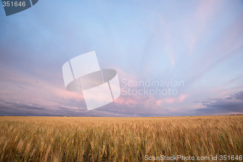 Image of Harvest Landscape