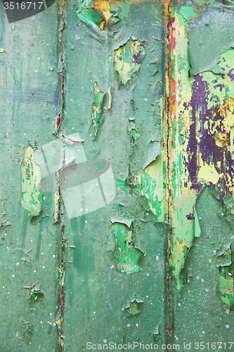 Image of green   abstract wood in englan london  
