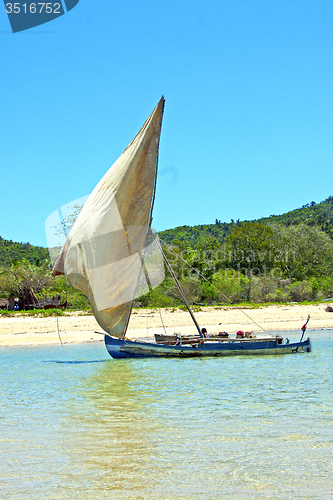 Image of pirogue beach seaweed in indian ocean madagascar  nosy be