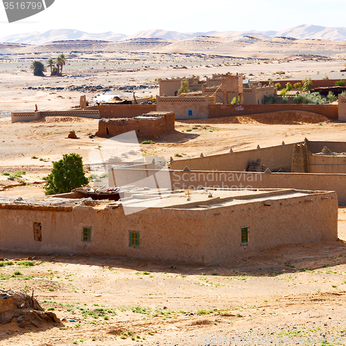 Image of sahara      africa in morocco  palm the old contruction and  his