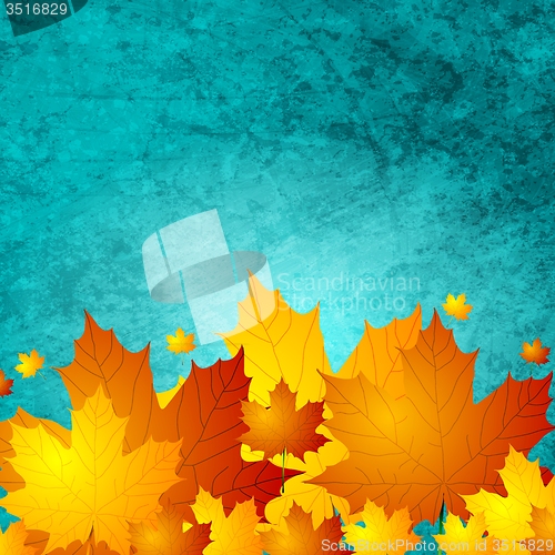 Image of Autumn maple leaves on turquoise grunge wall texture