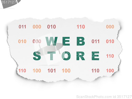 Image of Web development concept: Web Store on Torn Paper background